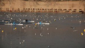 معضل جدید ورزش در روزهای سیاه کرونا/ جلوگیری از حضور قایقرانان ایران در مسابقات جهانی دانمارک