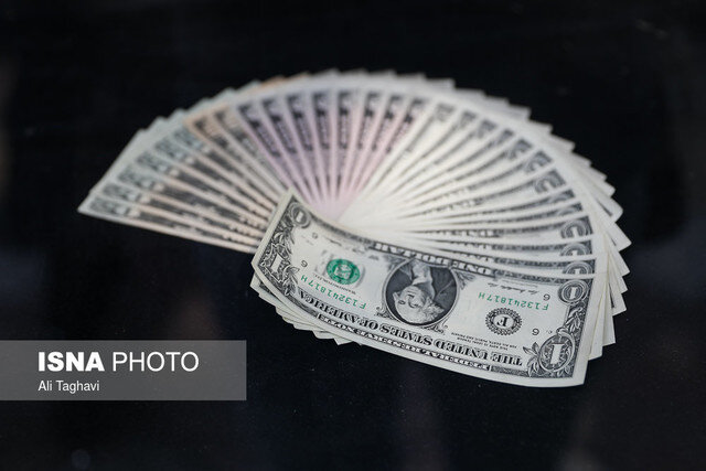 حذف ارز ۴۲۰۰ تومانی به صلاح نیست